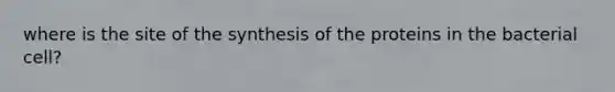 where is the site of the synthesis of the proteins in the bacterial cell?