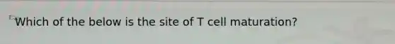 Which of the below is the site of T cell maturation?