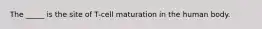 The _____ is the site of T-cell maturation in the human body.