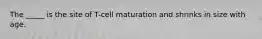 The _____ is the site of T-cell maturation and shrinks in size with age.