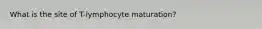 What is the site of T-lymphocyte maturation?