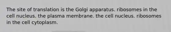 The site of translation is the Golgi apparatus. ribosomes in the <a href='https://www.questionai.com/knowledge/ksZq6y1LRD-cell-nucleus' class='anchor-knowledge'>cell nucleus</a>. the plasma membrane. the cell nucleus. ribosomes in the cell cytoplasm.