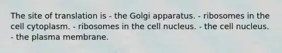 The site of translation is - the Golgi apparatus. - ribosomes in the cell cytoplasm. - ribosomes in the <a href='https://www.questionai.com/knowledge/ksZq6y1LRD-cell-nucleus' class='anchor-knowledge'>cell nucleus</a>. - the cell nucleus. - the plasma membrane.