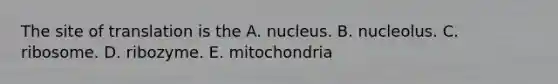 The site of translation is the A. nucleus. B. nucleolus. C. ribosome. D. ribozyme. E. mitochondria