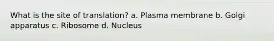 What is the site of translation? a. Plasma membrane b. Golgi apparatus c. Ribosome d. Nucleus