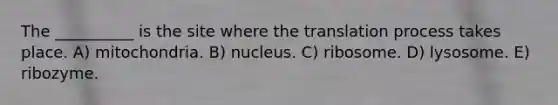 The __________ is the site where the translation process takes place. A) mitochondria. B) nucleus. C) ribosome. D) lysosome. E) ribozyme.