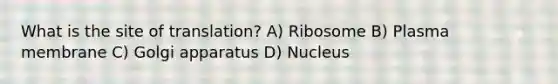 What is the site of translation? A) Ribosome B) Plasma membrane C) Golgi apparatus D) Nucleus