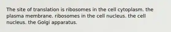 The site of translation is ribosomes in the cell cytoplasm. the plasma membrane. ribosomes in the <a href='https://www.questionai.com/knowledge/ksZq6y1LRD-cell-nucleus' class='anchor-knowledge'>cell nucleus</a>. the cell nucleus. the Golgi apparatus.