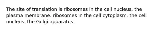 The site of translation is ribosomes in the cell nucleus. the plasma membrane. ribosomes in the cell cytoplasm. the cell nucleus. the Golgi apparatus.