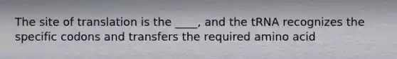 The site of translation is the ____, and the tRNA recognizes the specific codons and transfers the required amino acid