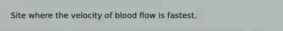 Site where the velocity of blood flow is fastest.