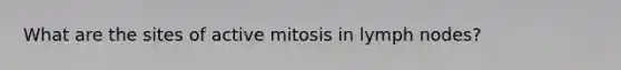 What are the sites of active mitosis in lymph nodes?