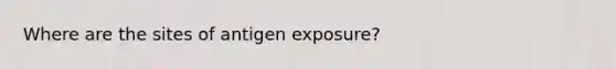 Where are the sites of antigen exposure?