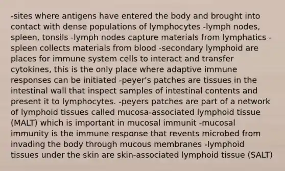 -sites where antigens have entered the body and brought into contact with dense populations of lymphocytes -lymph nodes, spleen, tonsils -lymph nodes capture materials from lymphatics -spleen collects materials from blood -secondary lymphoid are places for immune system cells to interact and transfer cytokines, this is the only place where adaptive immune responses can be initiated -peyer's patches are tissues in the intestinal wall that inspect samples of intestinal contents and present it to lymphocytes. -peyers patches are part of a network of lymphoid tissues called mucosa-associated lymphoid tissue (MALT) which is important in mucosal immunit -mucosal immunity is the immune response that revents microbed from invading the body through mucous membranes -lymphoid tissues under the skin are skin-associated lymphoid tissue (SALT)