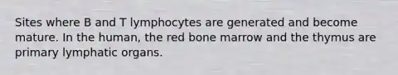 Sites where B and T lymphocytes are generated and become mature. In the human, the red bone marrow and the thymus are primary lymphatic organs.