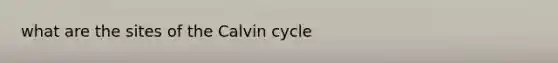 what are the sites of the Calvin cycle