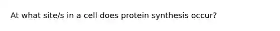 At what site/s in a cell does protein synthesis occur?