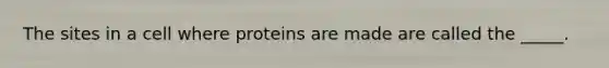 The sites in a cell where proteins are made are called the _____.