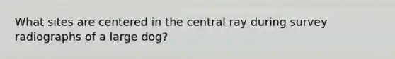 What sites are centered in the central ray during survey radiographs of a large dog?