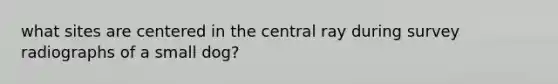 what sites are centered in the central ray during survey radiographs of a small dog?