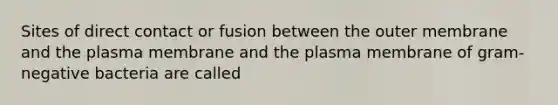 Sites of direct contact or fusion between the outer membrane and the plasma membrane and the plasma membrane of gram-negative bacteria are called