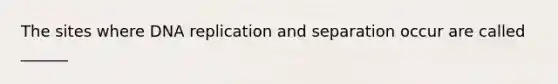 The sites where <a href='https://www.questionai.com/knowledge/kofV2VQU2J-dna-replication' class='anchor-knowledge'>dna replication</a> and separation occur are called ______