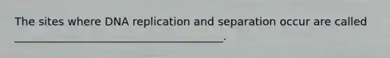 The sites where DNA replication and separation occur are called ______________________________________.