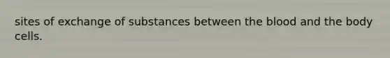 sites of exchange of substances between the blood and the body cells.