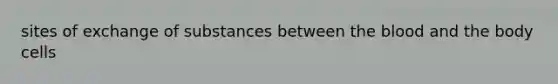 sites of exchange of substances between the blood and the body cells