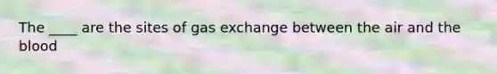 The ____ are the sites of <a href='https://www.questionai.com/knowledge/kU8LNOksTA-gas-exchange' class='anchor-knowledge'>gas exchange</a> between the air and <a href='https://www.questionai.com/knowledge/k7oXMfj7lk-the-blood' class='anchor-knowledge'>the blood</a>