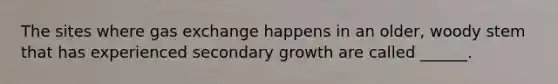 The sites where gas exchange happens in an older, woody stem that has experienced secondary growth are called ______.