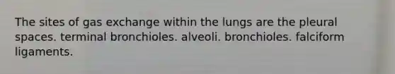 The sites of gas exchange within the lungs are the pleural spaces. terminal bronchioles. alveoli. bronchioles. falciform ligaments.