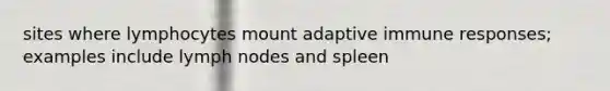 sites where lymphocytes mount adaptive immune responses; examples include lymph nodes and spleen