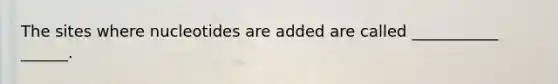 The sites where nucleotides are added are called ___________ ______.