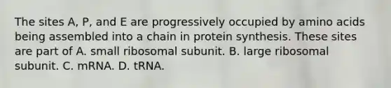 The sites A, P, and E are progressively occupied by amino acids being assembled into a chain in protein synthesis. These sites are part of A. small ribosomal subunit. B. large ribosomal subunit. C. mRNA. D. tRNA.