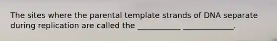 The sites where the parental template strands of DNA separate during replication are called the ___________ _____________.