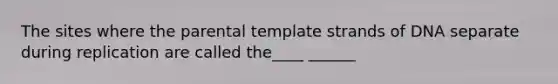 The sites where the parental template strands of DNA separate during replication are called the____ ______