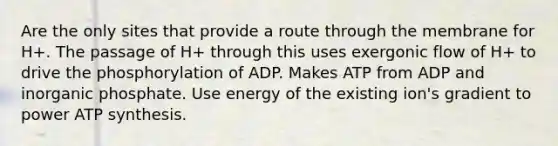 Are the only sites that provide a route through the membrane for H+. The passage of H+ through this uses exergonic flow of H+ to drive the phosphorylation of ADP. Makes ATP from ADP and inorganic phosphate. Use energy of the existing ion's gradient to power ATP synthesis.