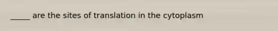 _____ are the sites of translation in the cytoplasm