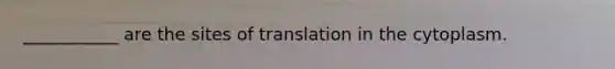 ___________ are the sites of translation in the cytoplasm.