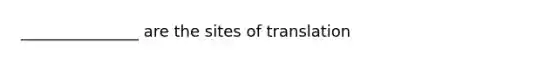 _______________ are the sites of translation