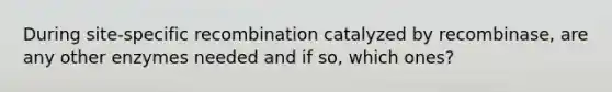 During site-specific recombination catalyzed by recombinase, are any other enzymes needed and if so, which ones?