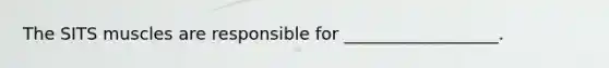 The SITS muscles are responsible for __________________.
