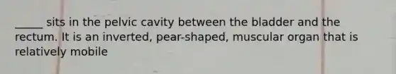 _____ sits in the pelvic cavity between the bladder and the rectum. It is an inverted, pear-shaped, muscular organ that is relatively mobile