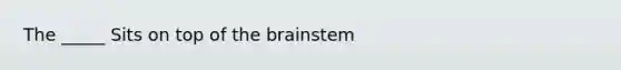 The _____ Sits on top of the brainstem