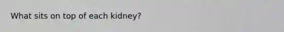 What sits on top of each kidney?