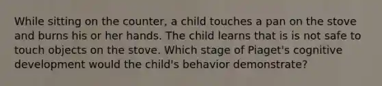 While sitting on the counter, a child touches a pan on the stove and burns his or her hands. The child learns that is is not safe to touch objects on the stove. Which stage of Piaget's cognitive development would the child's behavior demonstrate?