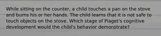 While sitting on the counter, a child touches a pan on the stove and burns his or her hands. The child learns that it is not safe to touch objects on the stove. Which stage of Piaget's cognitive development would the child's behavior demonstrate?