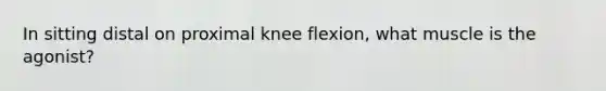 In sitting distal on proximal knee flexion, what muscle is the agonist?