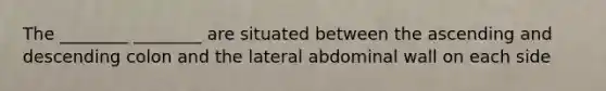 The ________ ________ are situated between the ascending and descending colon and the lateral abdominal wall on each side